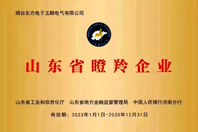 AG官方登录入口(中国游)官方网站